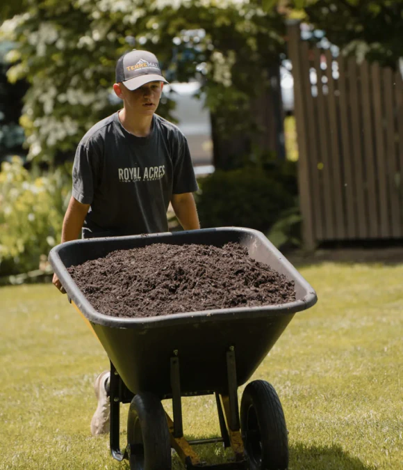 Lawn Fertilization & Treatment